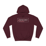 1 Day(s) Sober - Hoodie