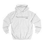 Bitches Ain't Shit But Hoes And Tricks - Gandhi - Hoodie